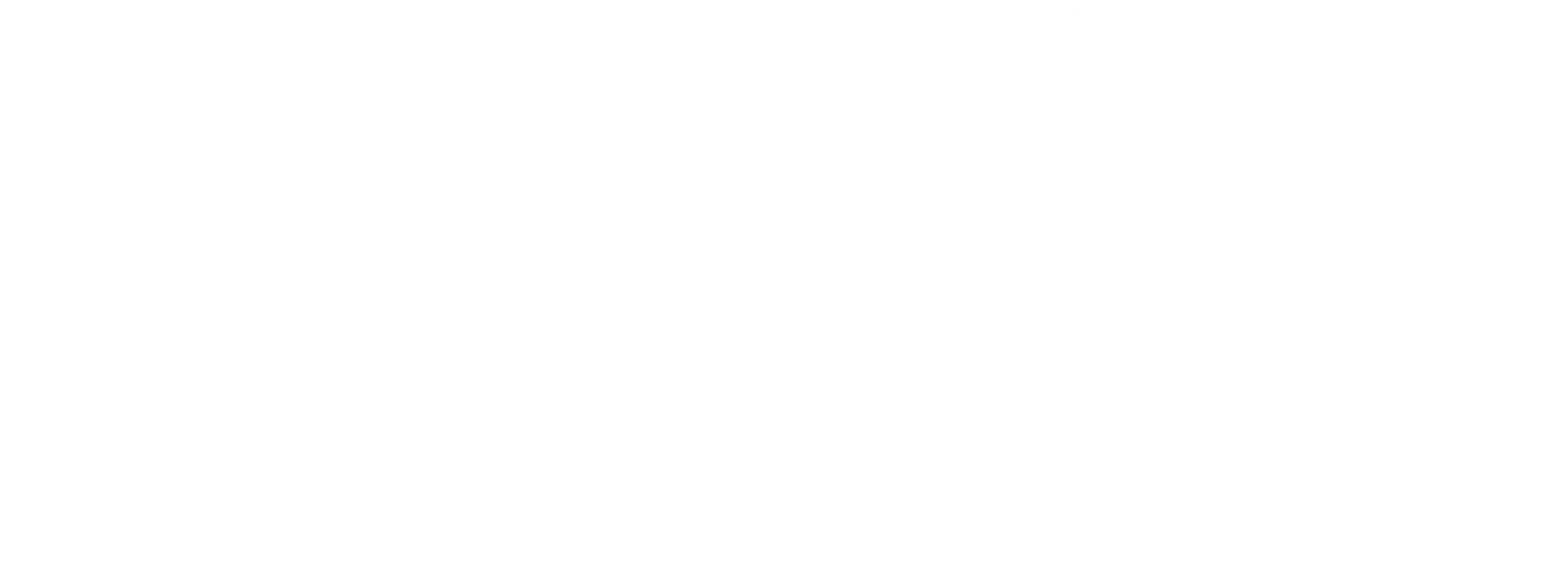 GEMGermany_PrimaryLogo_White