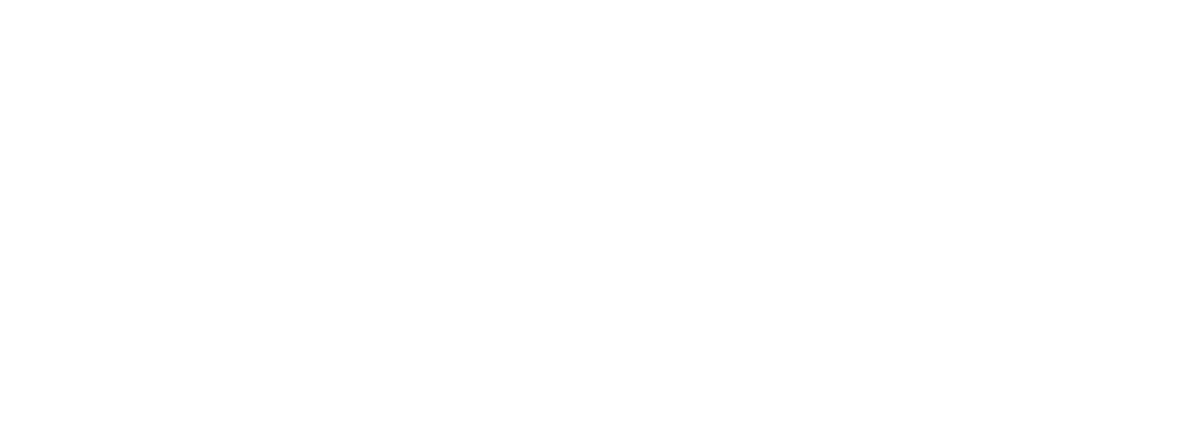 GEMGermany_PrimaryLogo_White