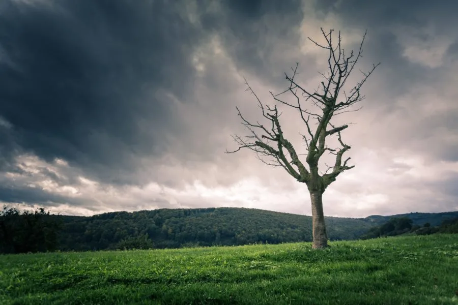 Solitude